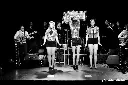The Covrettes 2.webp