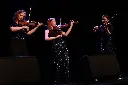 LesViolettes02c.webp