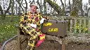 Clown Rocky 2.webp