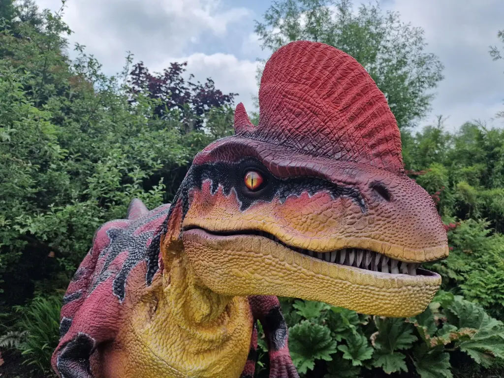 Dino Adventure 1.webp