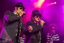 Brothers of Blues 3.webp