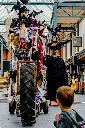 Rijk der spinnen 1.webp