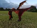 Elddreki - 4.webp