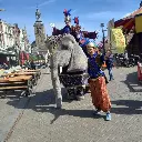 JUMBO DE OLIFANT