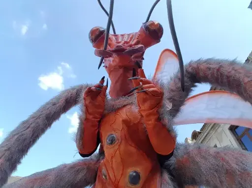 INSECTARA
