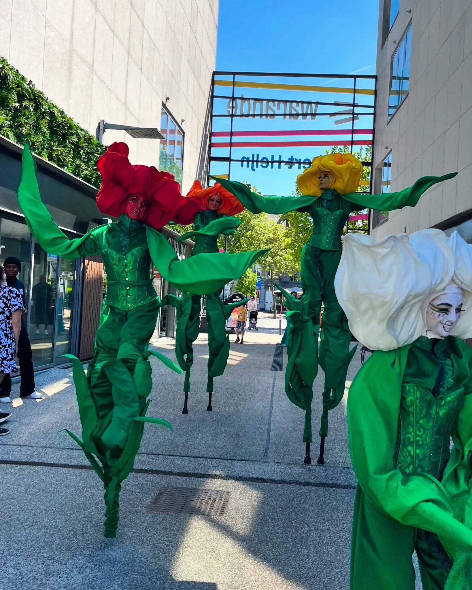 Boek de Dancing Tulips bij Dream Animations – vrolijke dansende tulpen die kleurrijke animatie brengen op festivals, winkelcentra en evenementen.